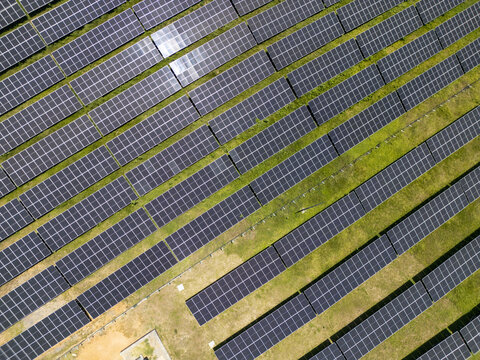 Aerial view of a large solar panel array with rows of photovoltaic modules installed on green grass in Guanaja, Bay Islands Department, Honduras.