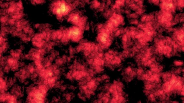 Premium Alien Cell Loop Red Organic Texture Motion Background 4K