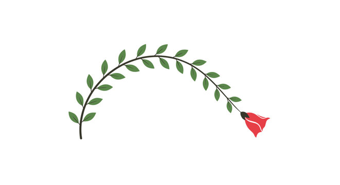 Elegant arching green vine adorned with leaves and finishing with a single beautiful red rose bud against a white background.