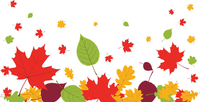 Colorful autumn leaves vector illustration with falling maple, oak, birch, and seasonal foliage isolated on white background