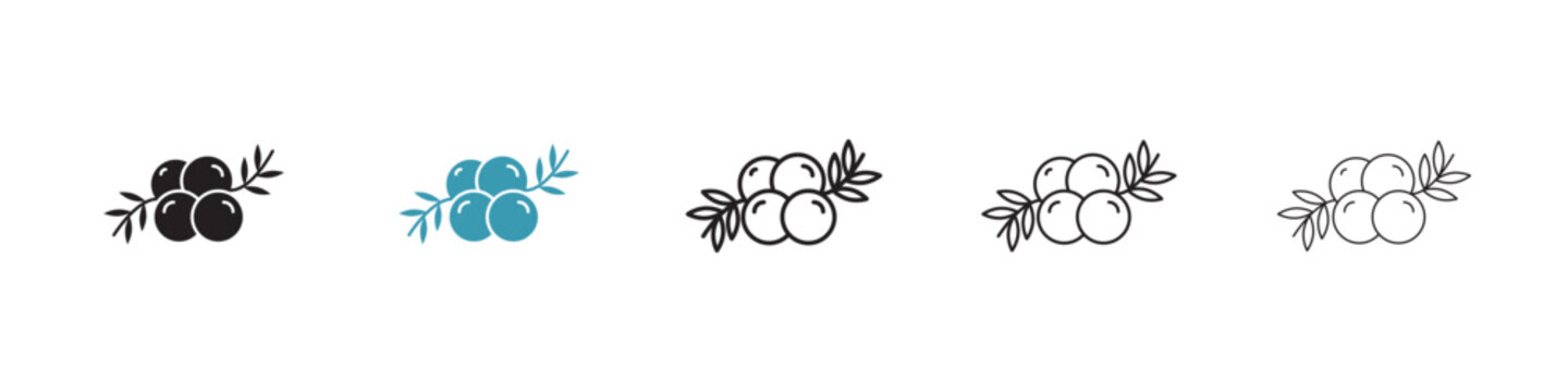 Juniper icon in flat style. Basic vector symbol illustration