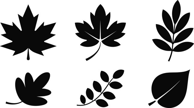 Leaf silhouettes set, different plant and tree leaves shapes, black nature vector illustration isolated background
