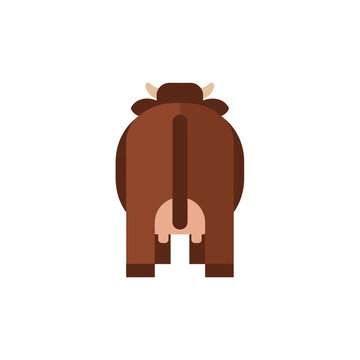 Brown cow seen from behind with visible udders