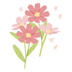 Fototapeta premium Hand Drawn Pink Cosmos Flower Bouquet Isolated Vector Illustration Element 