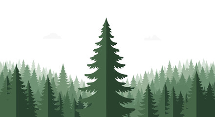Obraz premium Evergreen forest landscape, minimalist flat design pine trees