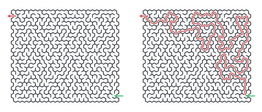 Maze design with solution path illustrated in red on white background  