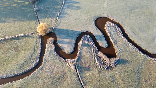 Aerial view of a meandering stream flowing through frost-covered meadows with a solitary golden tree in De Schiphorst, Drenthe, Netherlands.