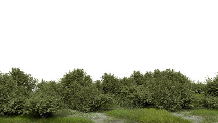 Green bushes and tall grass stretch across the ground in a natural area. The scene displays a clear sky over the greenery during the day. Sunlight falls on the plants. 3d render