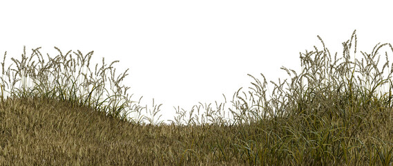Obraz premium Tall grass covers a small hill. The grass is healthy and green, stretching towards a bright sky. The scene captures a simple moment in nature during a sunny day. 3d render