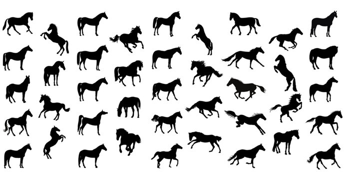 Black Horse Silhouette Vector Pattern Collection Set