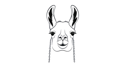 Hand-drawn llama portrait, minimalist line art sketch, friendly animal illustration © anis