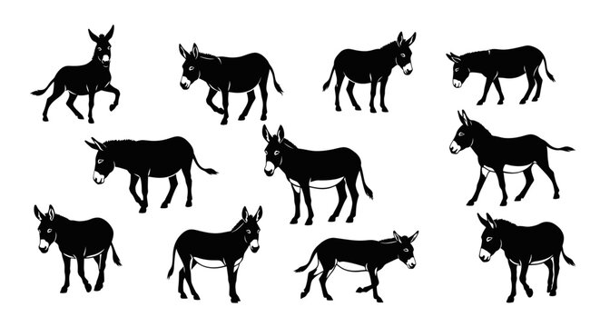 Donkey Silhouettes Collection: Various Poses and Actions