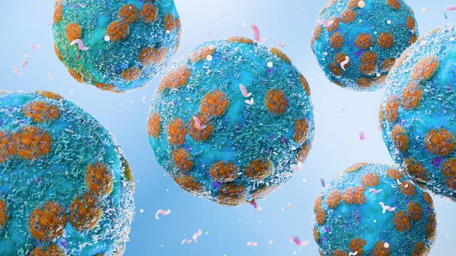Hantavirus Pulmonary Syndrome, Anatomy and Morphology of Hantavirus Pathogens, 3d render