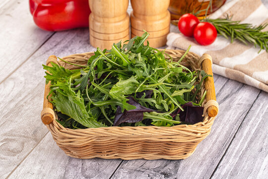Fresh green ruccola salad leaves