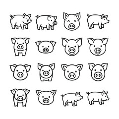 Fototapeta premium A set of black line drawings of pigs and pig faces
