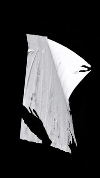 A torn paper poster remnant hanging on a wall, isolated on a black background. The ripped poster slowly begins to curl and unroll naturally from the edges, as if loosened by time and gravity.