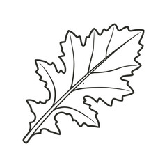 Naklejka premium Mustard Green leaf Outline Illustration