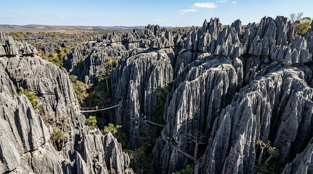 Spectacular Tsingy Limestone Forest Landscape in Madagascar