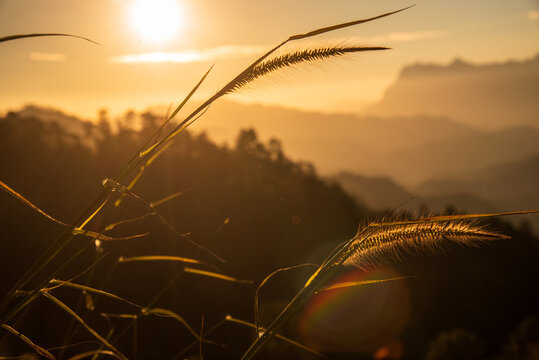 Sunset dawn landscape vibrant scenery horizontal. Grass field sunset Beautiful landscape with grasses meadow on sunlight. Countryside heaven amazing field scene grass meadow on sunbeam nature dawn