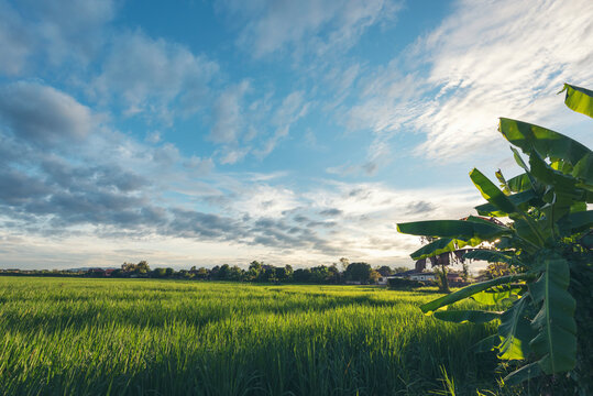 Landscape mountain green field meadow white cloud blue sky sunrise. Amazing landscape fog mountain clouds scenery. Beautiful Mountain landscape foggy windy range green asian farm