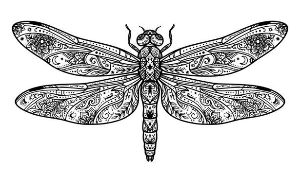 Boho dragonfly black and white vector illustration with ornamental tribal pattern design