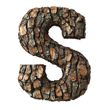 Top view of a 3D letter S made of sycamore tree bark isolated on a white transparent background