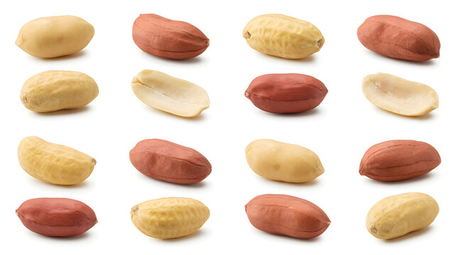 A collection of peanuts in various states of shelling on a white background