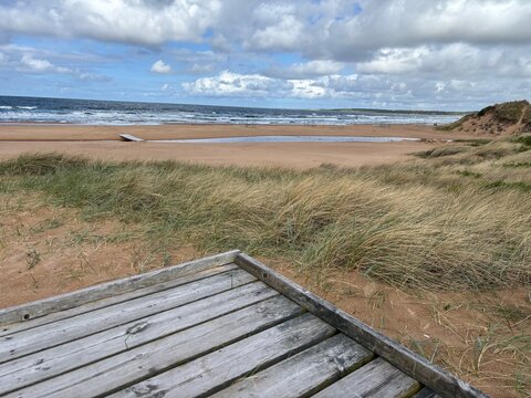 Halland, Kattegat, Halmstad, Tyl&ouml;sand, Ringen&auml;s, Fr&ouml;sakull