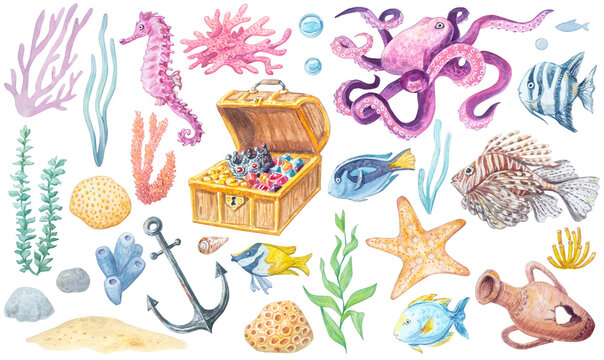 Watercolor underwater marine elements set isolated on white background. Hand drawn ocean collection of tropical fish, pirate treasure chest, sea anchor, corals and seaweed. Detailed reef clip art