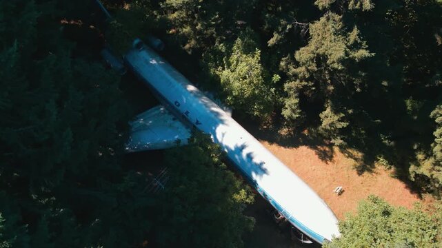 Slow orbital view over an aircraft fuselage lying among trees with sunlight and shadows in a forest
