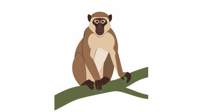 A brown monkey with light fur on its chest sits on a green branch