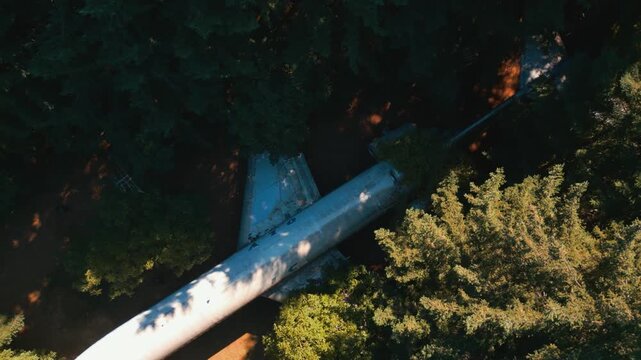 Top down diagonal flyover view of aircraft fuselage lying among trees with sunlight and shadows in a forest