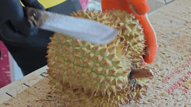 Durian rind and Durian peel.