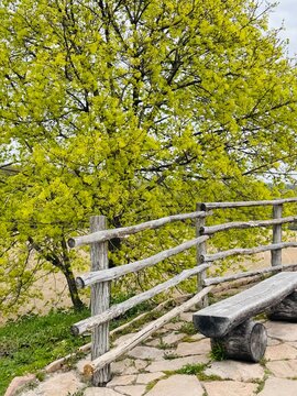 Traditional wooden fence and rustic bench at the entrance to the National Museum of Folk Architecture and Life of Ukraine on a sunny day, showcasing authentic Ukrainian rural heritage 