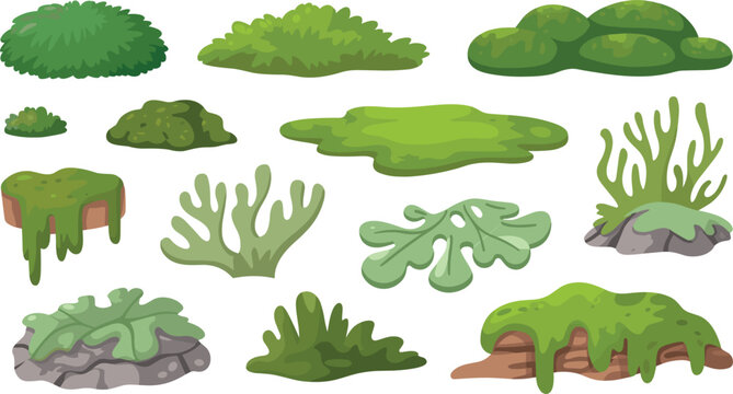 Green forest moss and lichen vector illustration set with organic swamp textures patches and rocks