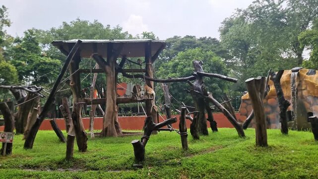 Wide Establishing Shot of Primate Island Habitat with Moat in Asian Animal Park