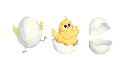 A set of watercolor illustrations featuring chicks hatching from their shells © Anna Bastron