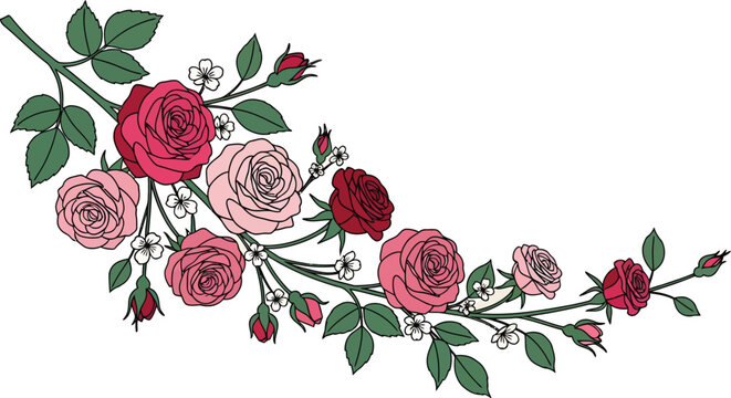 A beautiful bouquet of fresh pink and red roses isolated on a white background, making a perfect floral gift for a romantic Valentine celebration or wedding day