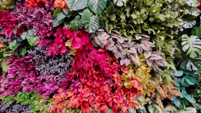 Colorful vertical garden wall with tropical leaves and foliage