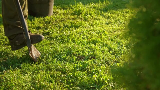 Close up view of a farmer's feet in boots digging into the green grass with a shovel, preparing the soil for planting trees or shrubs in the garden during a sunny spring day