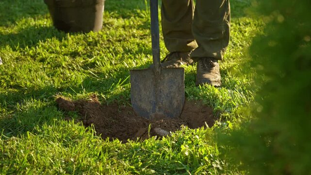 Professional gardener digging a hole in the ground with a spade to plant a tree or shrub in a sunny backyard. Outdoor landscaping and manual labor for maintaining a beautiful garden in the spring