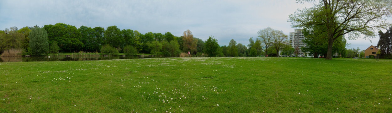 A wide panoramic view of a green park meadow dotted with small white flowers, mature trees and a calm lake, framed by residential buildings under a cloudy spring sky, conveying peaceful urban nature.