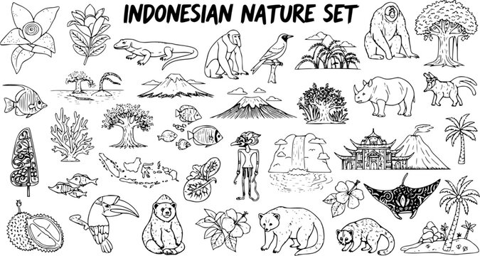Indonesian Nature Set: Black and White Line Art Illustrations of Flora, Fauna, and Landscapes