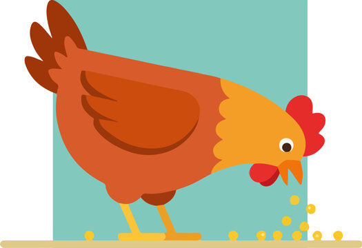 Brown Chicken Eating Food.