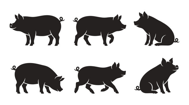 different black pig silhouettes on a clean white background, minimalist vector style.
