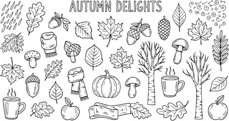 Hand-drawn Black  White Line Art Autumn Doodles Collection - Seasonal Fall Elements Set for Cozy Season Designs © devanca