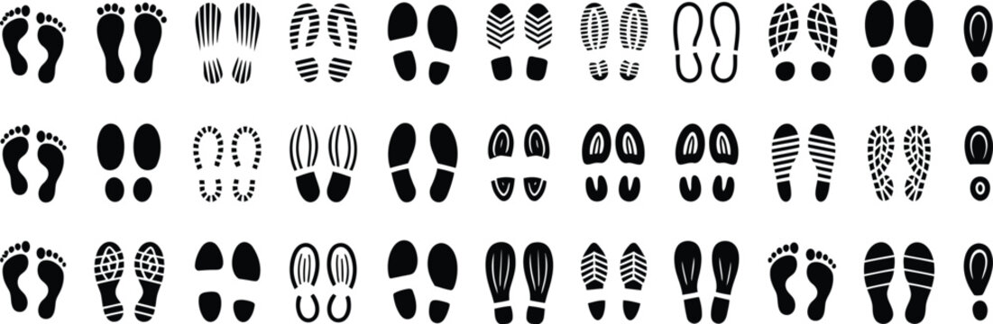 Black and white of various and animals in flat style black white background flat animals tools