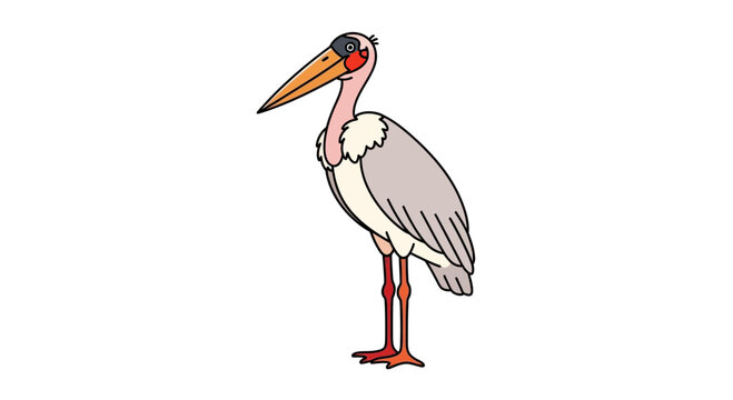 Marabou Stork Bird Illustration Isolated on White Background
