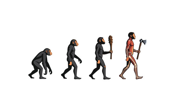 Human Evolution Stages from Primate to Man with Tools Illustration