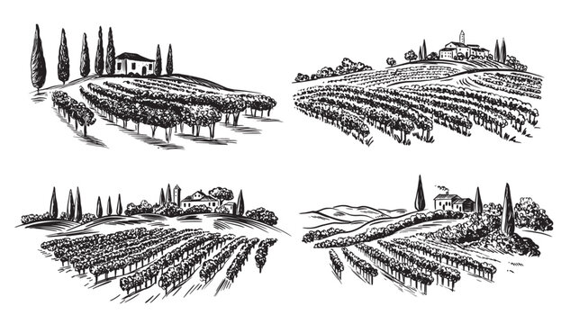 Vineyard landscape with building on the hill hand drawn, set.